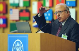 Indian scientist Monkombu Sambasivan Swaminathan was the architect of the 1960s 'green revolution' that brought an end to the chronic food shortages then plaguing the country