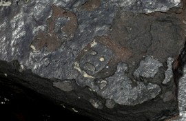Some of the ancient rock carvings show faces that appear to express emotion 