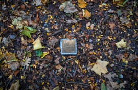 Some people feel the forests are a more environmentally friendly resting place