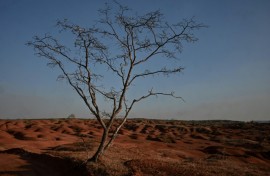 Several hundred determined farming families are hanging on in this desolate land of Gilbues, Brazil, scraping by with hardscrabble ingenuity and sounding the alarm over the spreading problem