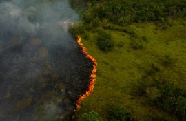 The study does not account for the effect of forest fires or other climate-linked risks