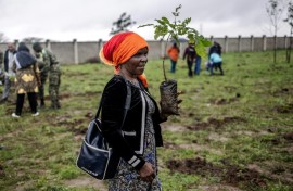 Kenyans took part in a national treeplanting day to try to boost the country's forest cover