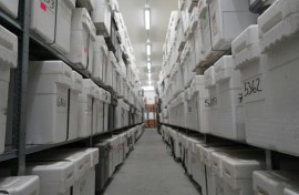 The repository is one of the biggest in the world, with 40,000 blocks of ice stacked on long rows of shelves in large boxes