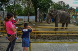 Before her death on Tuesday, the approximately 43-year-old elephant won the support of Catholic bishops, a global pop star and a Nobel laureate