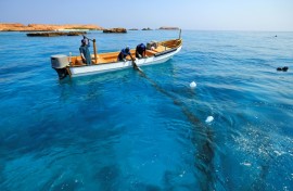 Reef Check Oman aims to build a full database of the country's coral reefs