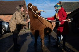 Visitors say the experience is very therapeutic Visitors say the experience is very therapeutic - and Morag also seems to like it