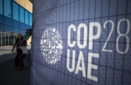 More than 1,100 CEOs and heads of philanthropic organisations were due to take part in COP28