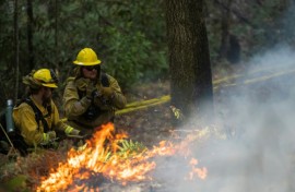 Firefighters with California State Parks monitor a prescribed burn at Wilder Ranch State Park near Santa Cruz, California, in October 2023. 