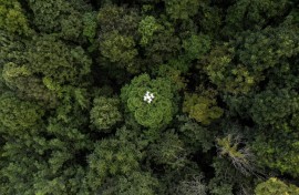 Drones are part of an increasingly sophisticated arsenal used by scientists to understand forests and their role in the battle against climate change