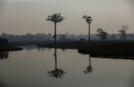 Smoke from illegal fires lit by farmers rises over a river in Careiro, Amazonas state, in September 2023