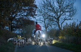 Trail hunting, where hounds follow a scent, has been banned in Scotland and England and Wales may follow