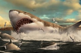 An artist's impression of a stocky, great white-like megalodon shark. Scientists now think it was much more slender