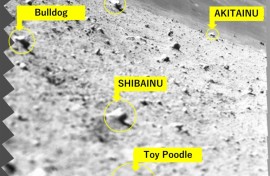 This handout photo released by the Japan space agency JAXA and credited to JAXA, University of Aizu and Ritsumeikan University shows lunar rocks captured by a spectroscopic camera on the Smart Lander for Investigating Moon (SLIM) module