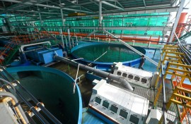Fish tanks at Singapore's Eco Ark simulate ocean conditions that allow fish to swim against a current while shielding them from diseases