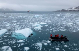 Scientists have warned that rising ocean temperatures are impacting whales' body clock and migration cycles, as well as killing off krill, the tiny crustacians they need to fatten up for a journey of thousands of kilometers