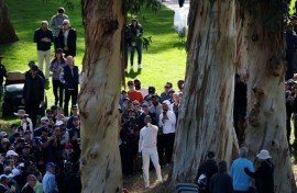 Tiger Woods eyes a tough shot between trees in the first round of the US PGA Tour Genesis Invitational