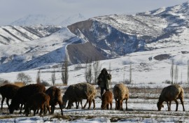 The glaciers enable herders to keep livestock on spring pastures for longer