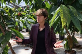 Saving chocolate: Israel scientist Ellen Graber 
