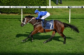 The only foal of champion Australian mare Winx sold for $6.6 million