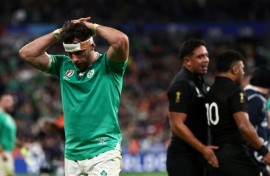Ireland will face New Zealand in November seeking revenge for a World Cup quarter-final defeat