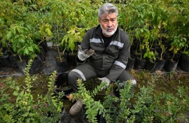 Former Colombian General Henry Torres is planting trees as part of a pilot project giving alternative sentences to those who confess to war crimes
