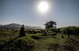 'On The Brink of Dreams' follows teenage girls in a rural part of Egypt