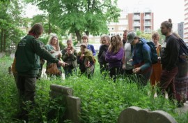 Hunting for edible plants with London's urban foragers