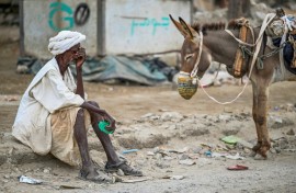 Between April 2023 and March 2024, the health ministry recorded nearly 11,000 cases of cholera -- a disease endemic to Sudan