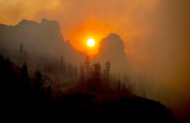 Tiny particles of pollution released by wildfires in California killed more than 52,000 people over a ten-year period, a study has found