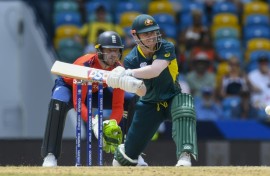 Australia's David Warner in action at the World Cup