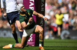 Fine debut: South Africa wing Edwill van der Merwe celebrates scoring a try during a 41-13 win over Wales at Twickenham