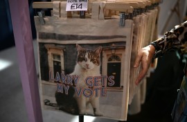 Larry the Downing Street has lived with five Conservative prime ministers