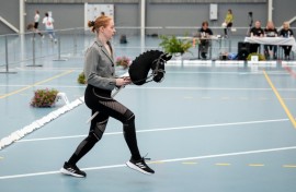 Giddy up: A rider takes part in a dressage event at the Finnish Hobbyhorse Championships 