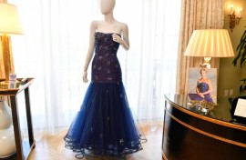 Dresses worn by the late Princess Diana are going under the hammer in California this week