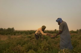 Maaden thrives on the values of equality, fraternity, tolerance and hard work