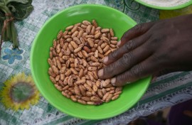 As drought hits Zimbabwe,  maworesa, a form of porridge, has been concocted to cover basic nutritional needs