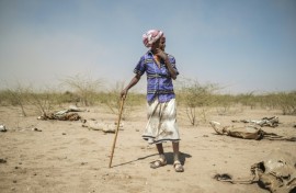 A man stands among animal carcasses in the village of Antalale in Ethiopia in January 2023. According to a UN report, hunger affected one in every five people in Africa last year