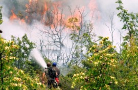 Climate change is causing longer, stronger and more frequent extreme weather events like heatwaves and floods