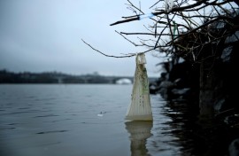 A plastic bag is seen washed up on the banks of the Anacostia River in March 2019 in Washington