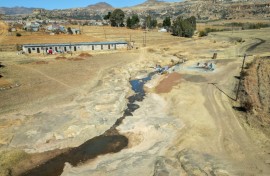 Crops and livestock have been felled by the lack of water
