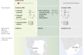 The different types of mpox 