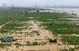 Floodwaters caused by Typhoon Yagi have destroyed crops across north Vietnam