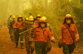 Firefighters arrive at the scene of a fire in Concepcion,  Boliva, on September 24, 2024