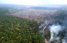 The delay has sparked an outcry from environmentalists, who saw the law as a major breakthrough in the fight to protect nature and the climate