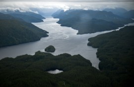Around Great Bear Sea, overfishing, pollution and warming waters caused by climate change have altered the area substantially