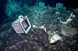 Photographie non datée fournie par le Schmidt Ocean Institute montrant des expériences sur le fond marin à 2.500 mètres de profondeur, au site de l'évent Tica, sur la dorsale est-Pacifique
