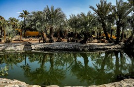 The vital water of the Khaybar oasis, where the town al-Natah was built more than 4,000 years ago