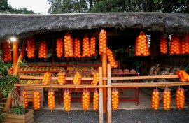 Rural jobs and export revenue would be badly affected, African companies say, if they no longer benefit from the AGOA market access deal with the United States