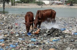 In 2019, the world produced around 460 million tonnes of plastic, a figure that has doubled since 2000, according to the OECD