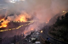 The study was released a week after Ecuador declared a national emergency due to forest fires